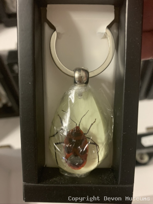 Insect in resin keyring product photo